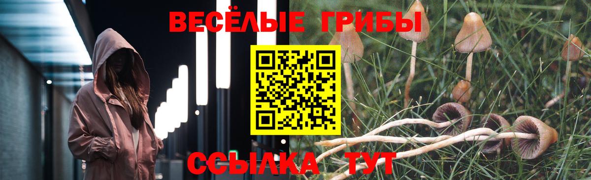 Краснодар  Псилоцибиновые грибы Psilocybe  Вход с VPN  Псилоцибиновые грибы Psilocybine cubensis 